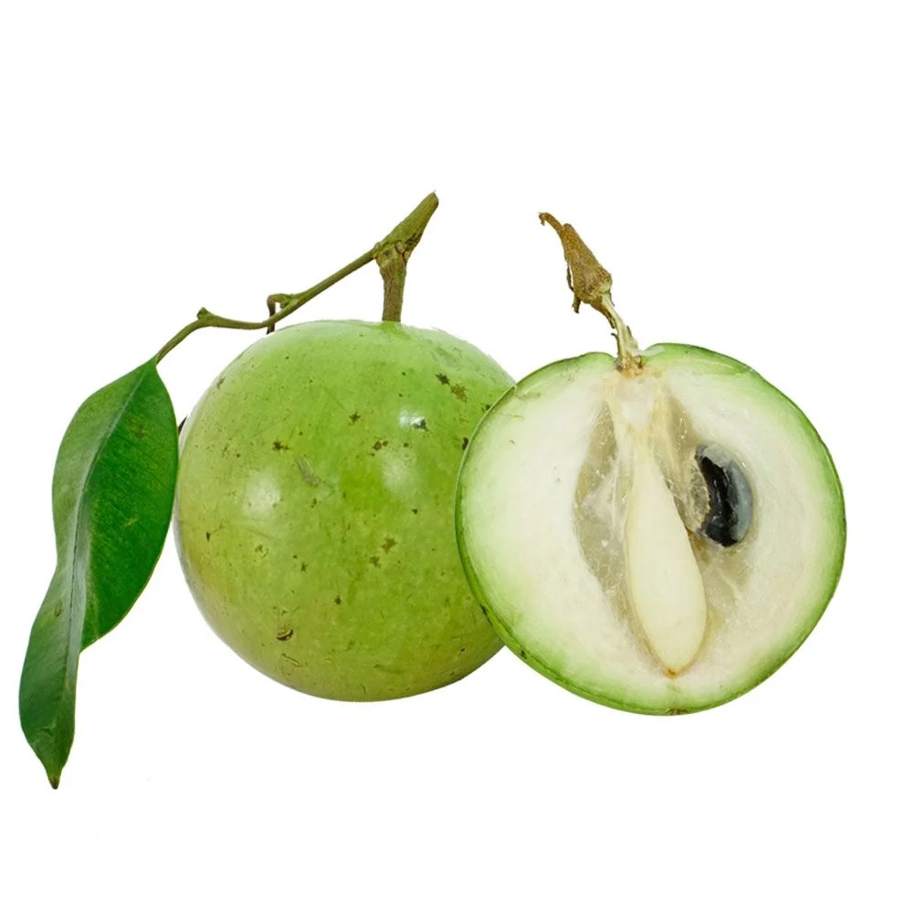 Vú sữa